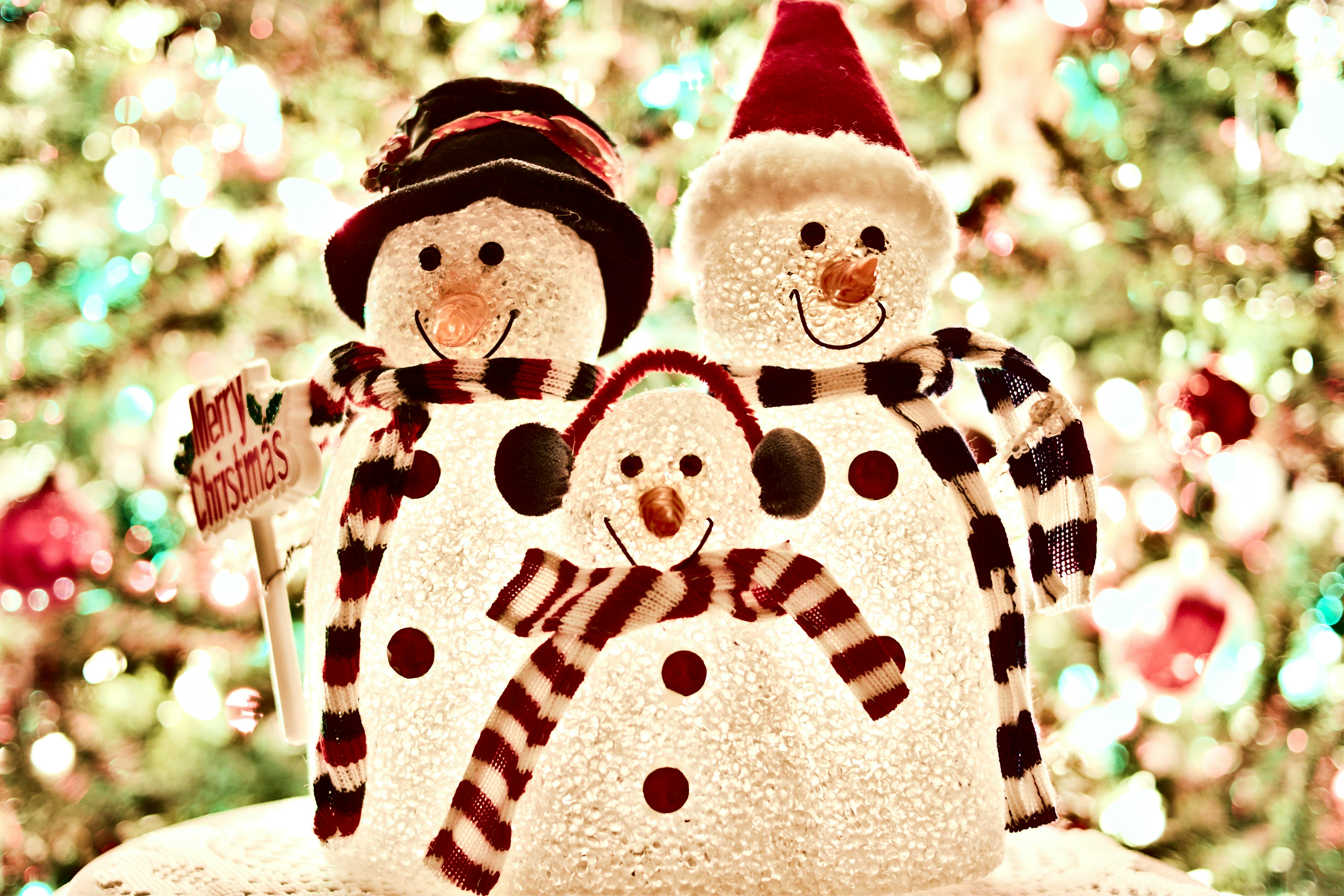 Christmas holiday activities with winter displays and lights